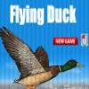 Flying Duck 2012